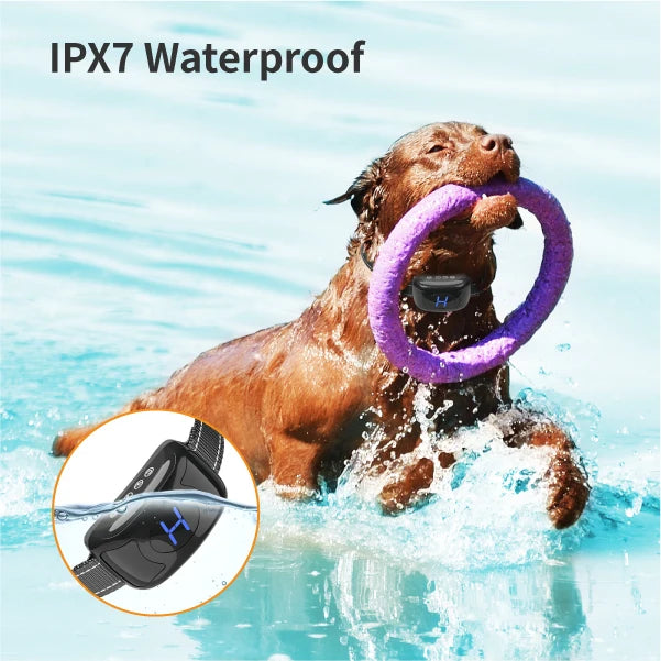 Dog Bark Collar smart