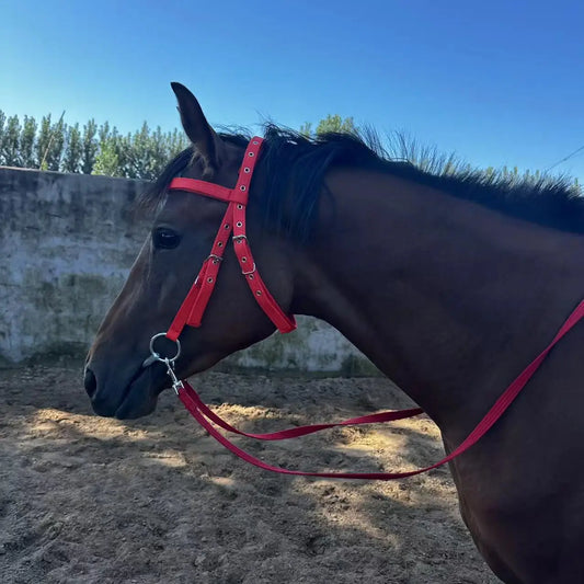 Horse Bridle Harness Set – PU Leather Headstall, Reins, Bit – Adjustable Equestrian