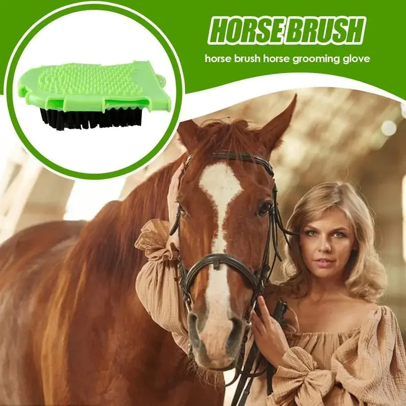 Horse Brushes for Scraper Care Double-Sided