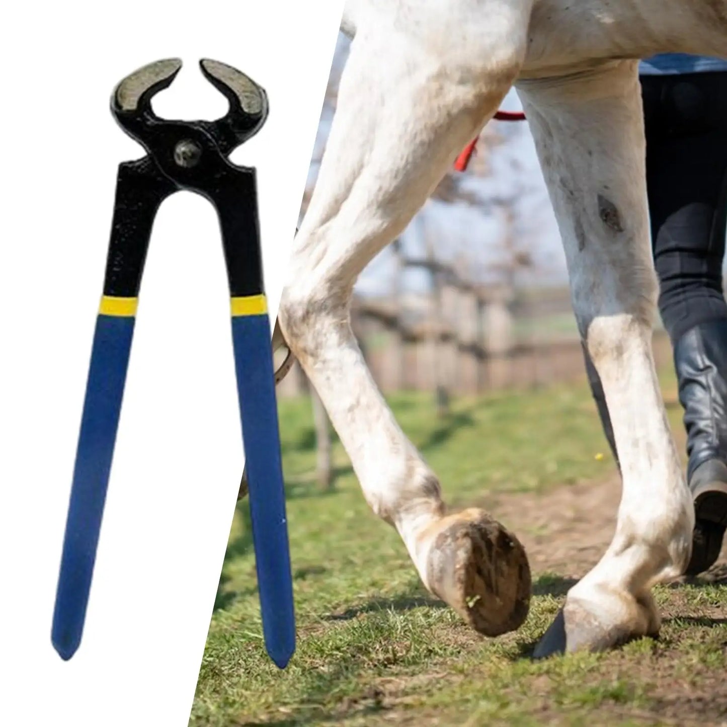 Horse Hoof Trimmer Professional