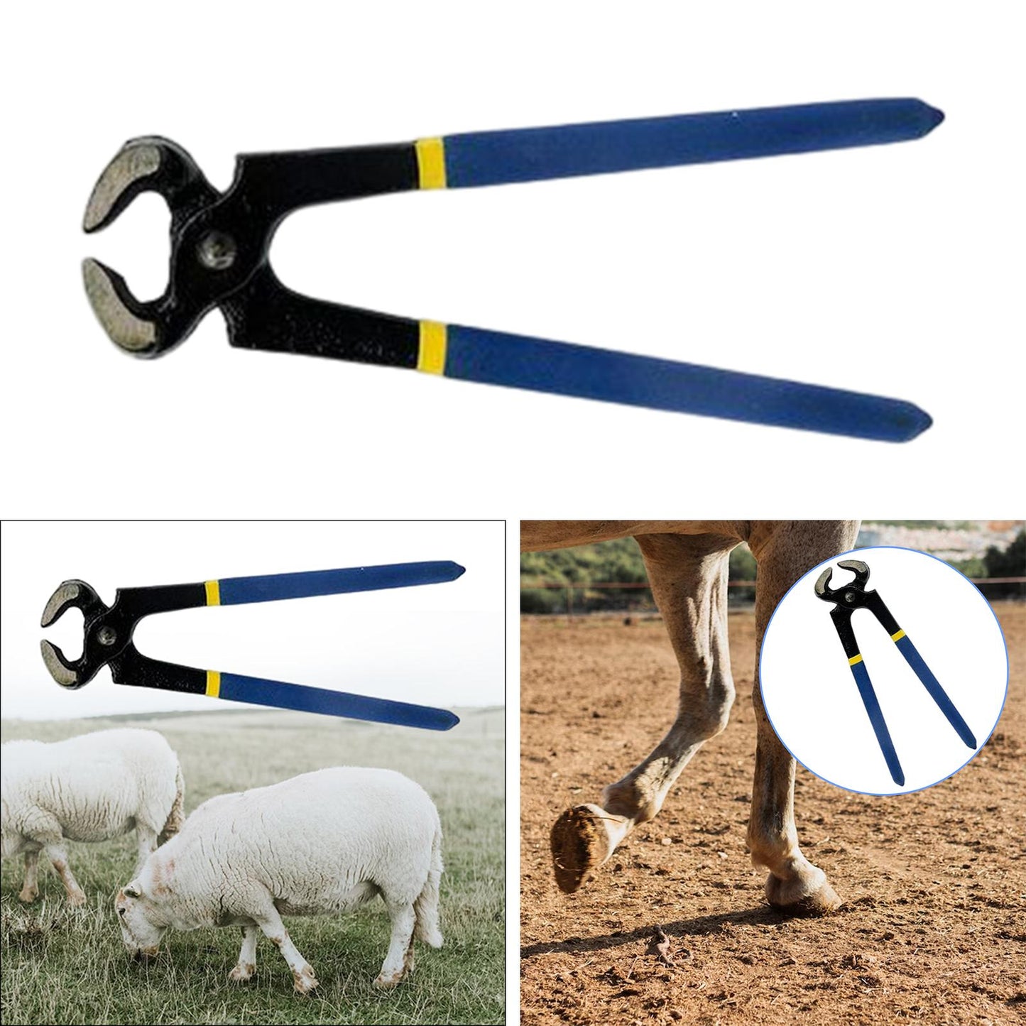 Horse Hoof Trimmer Professional