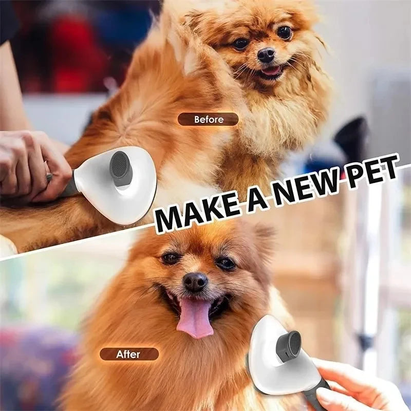 Pet dog brush; cat brush; one-button pet hair removal .