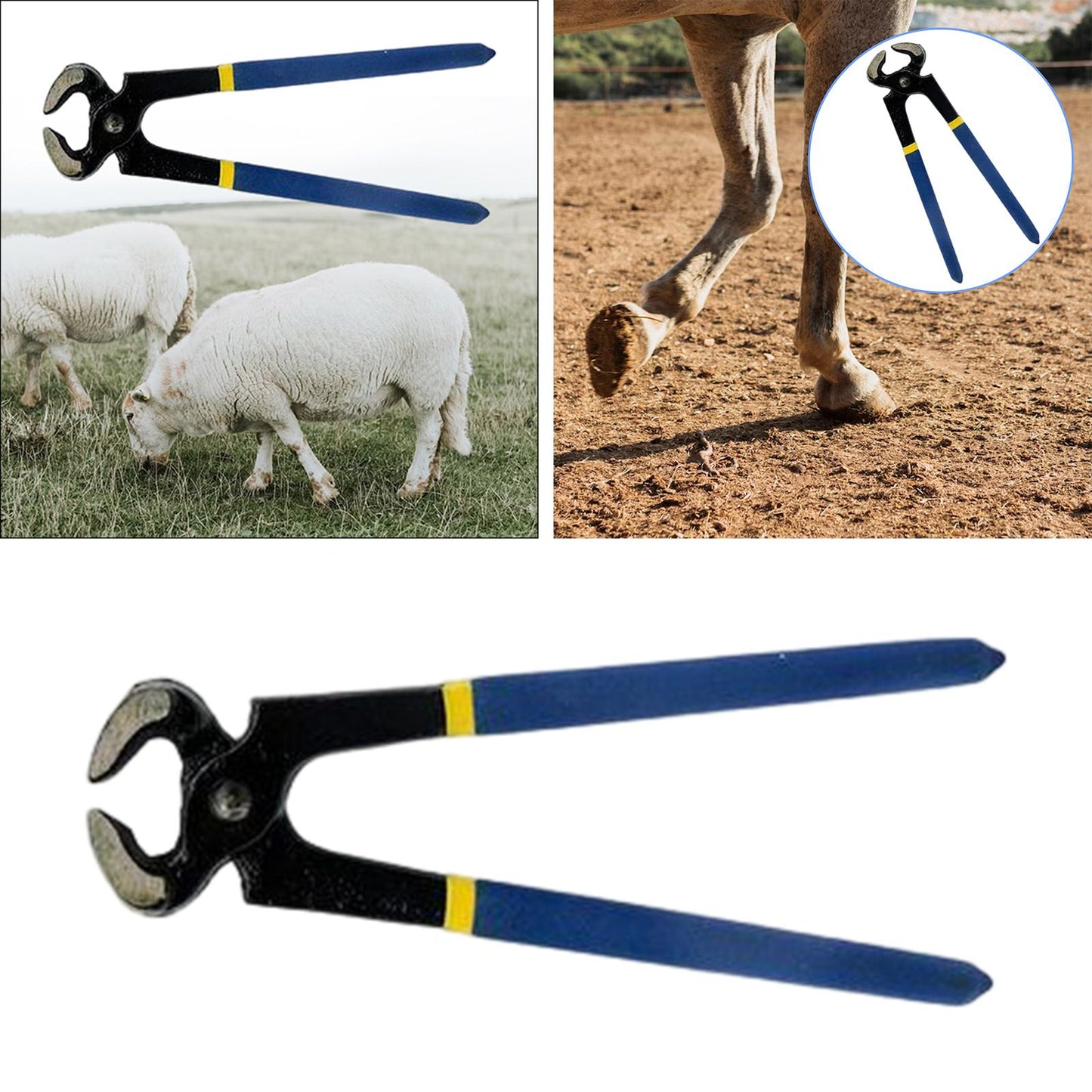 Horse Hoof Trimmer Professional