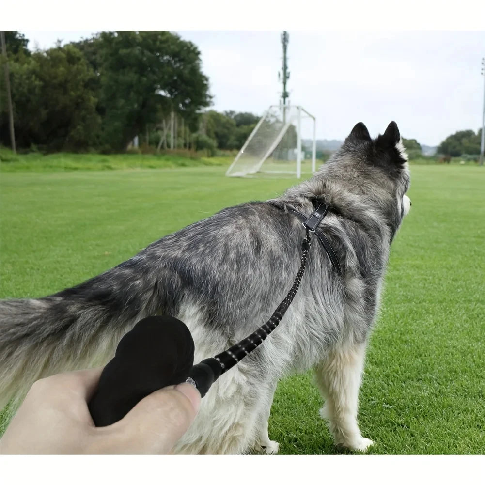 Reflective Dog Leash With Comfortable Padded