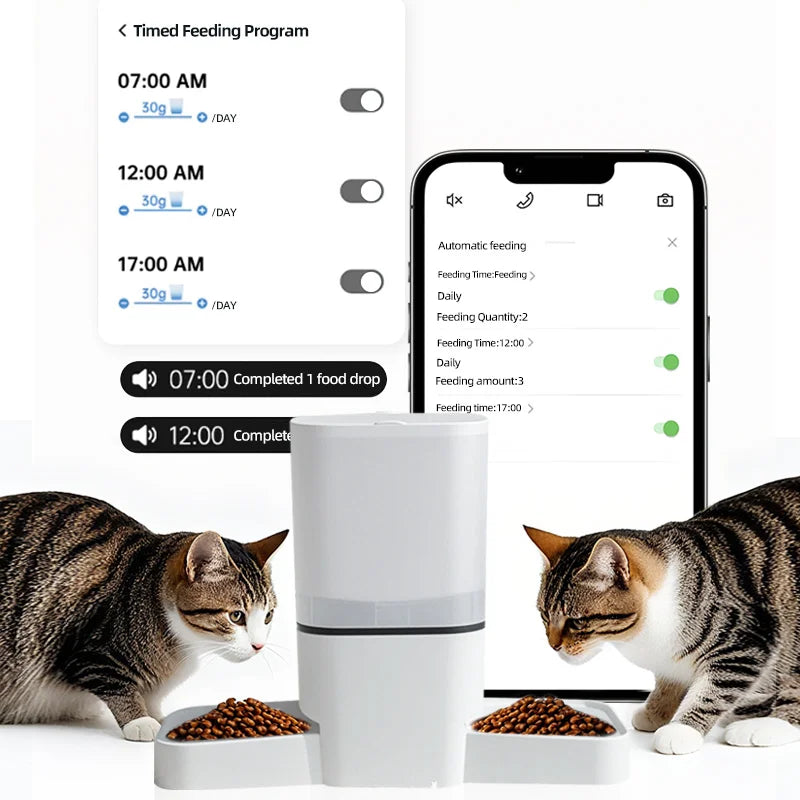6L WIFI cat automatic feeder, double meal pet feeder