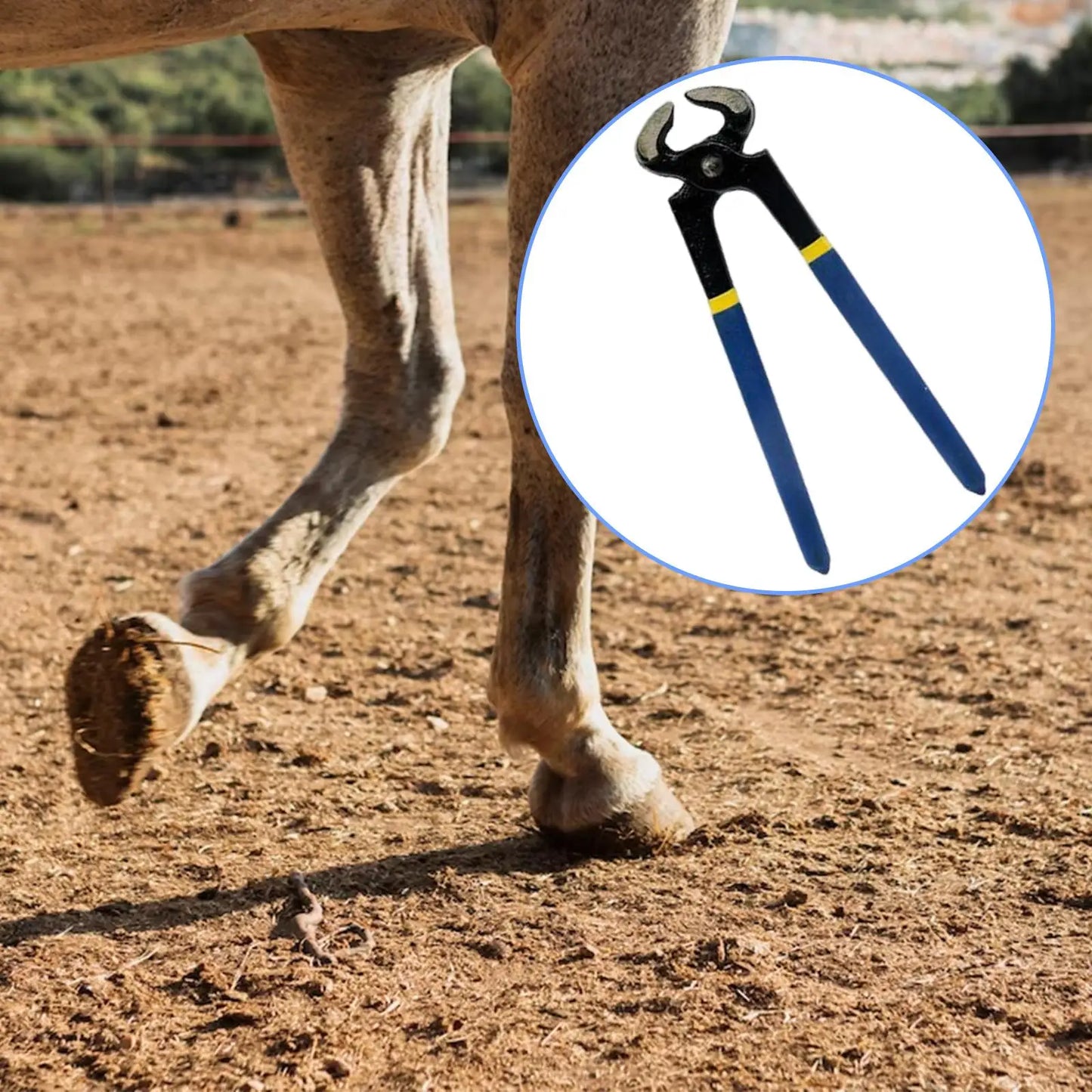 Horse Hoof Trimmer Professional