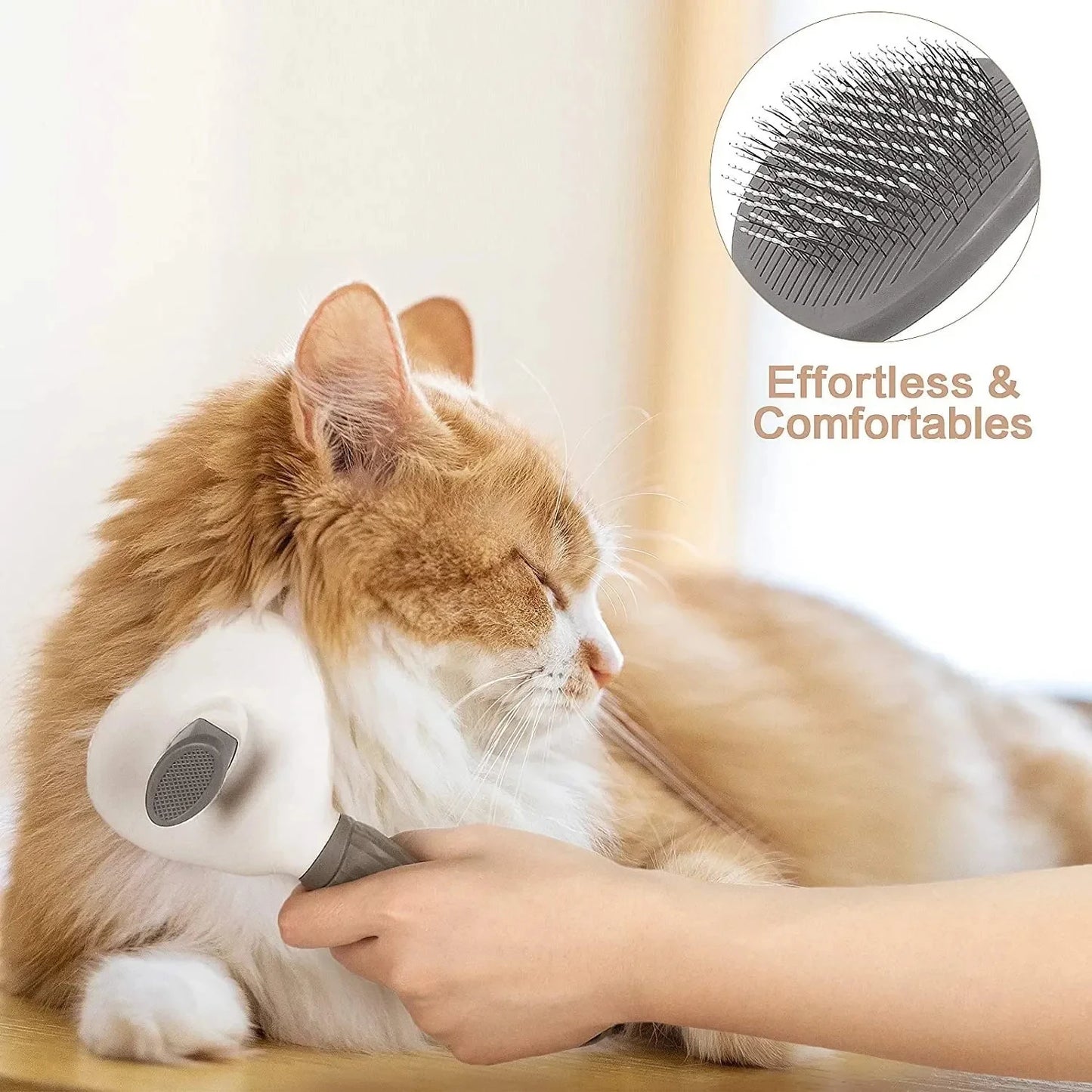 Pet dog brush; cat brush; one-button pet hair removal .